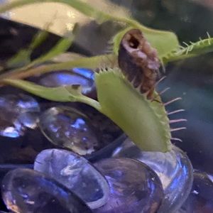 Meet your Posher, Hold